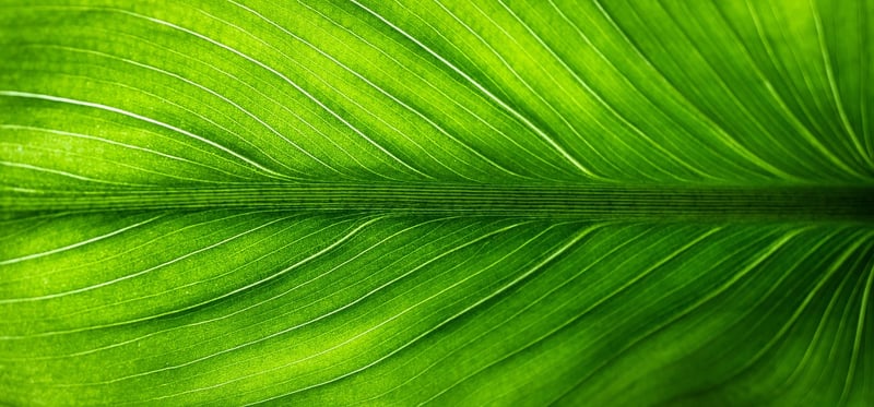 Eco-Friendly Home Accents